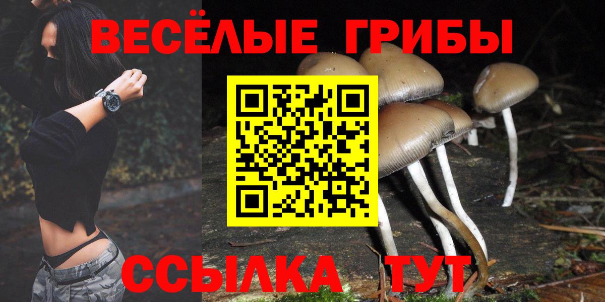 Псилоцибиновые грибы Magic Shrooms Черняховск